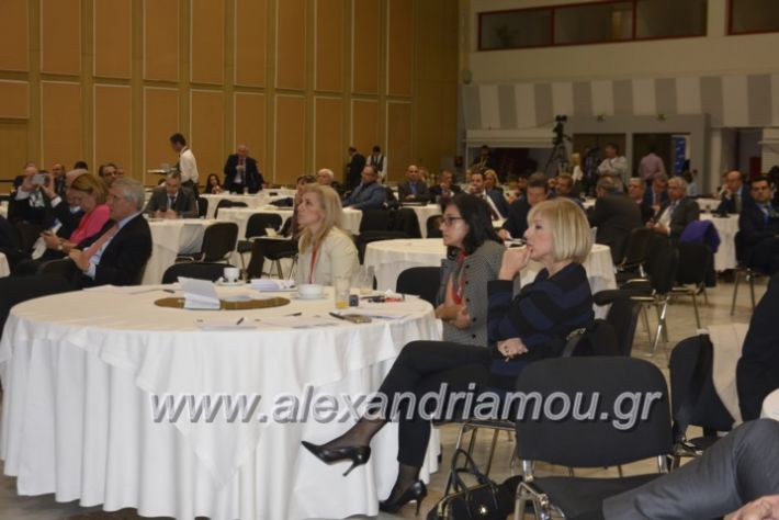 alexandriamou.gr_summit2018049