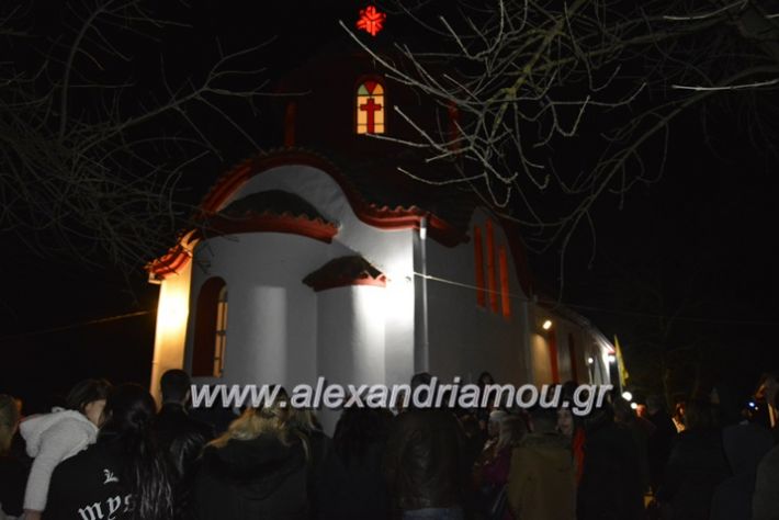 alexandriamou.gr_sxoinasxrusovalanti18017