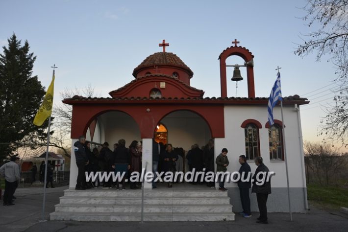 alexandriamou.gr_sxoinasxrisovalanti18002