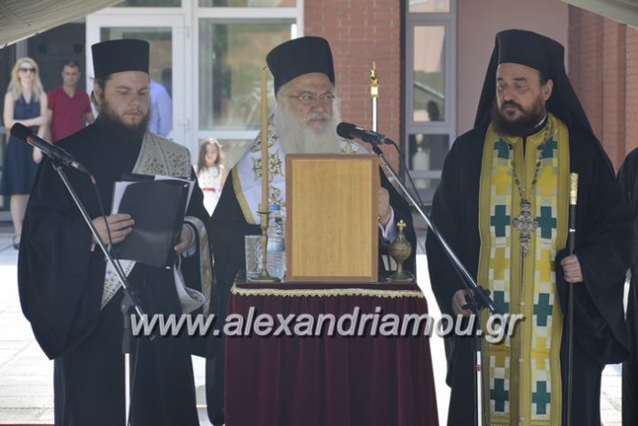 alexandriamou.gr_sxoli_metekpaideusis_veria8.6.2018054