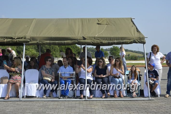 alexandriamou.gr_sxoli_metekpaideusis_veria8.6.2018060