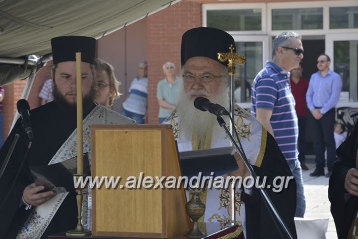 alexandriamou.gr_sxoli_metekpaideusis_veria8.6.2018066