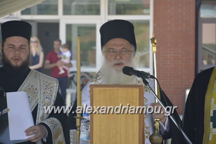 alexandriamou.gr_sxoli_metekpaideusis_veria8.6.2018087