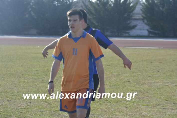 alexandriamou.sxolikosagonasmeliki1olikeio032