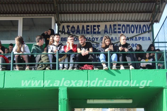 alexandriamou.gr_sxolikosagonasepal2o003