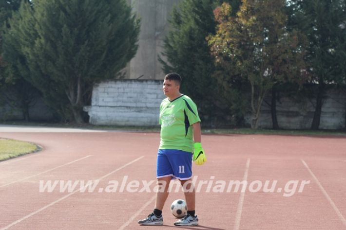 alexandriamou.gr_sxolikosagonaskorifi2o011
