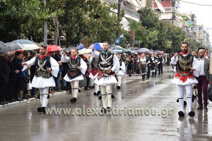 alexandriamou,gr_syloogi20188013