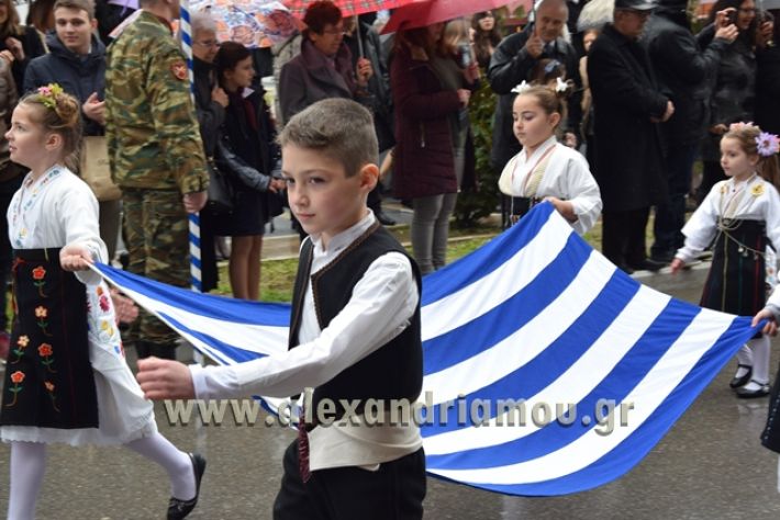 alexandriamou,gr_syloogi20188056