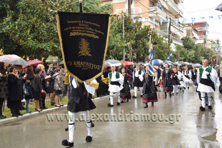 alexandriamou,gr_syloogi20188063