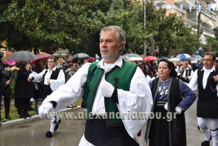 alexandriamou,gr_syloogi20188071