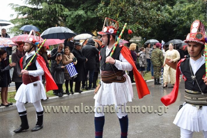 alexandriamou,gr_syloogi20188104