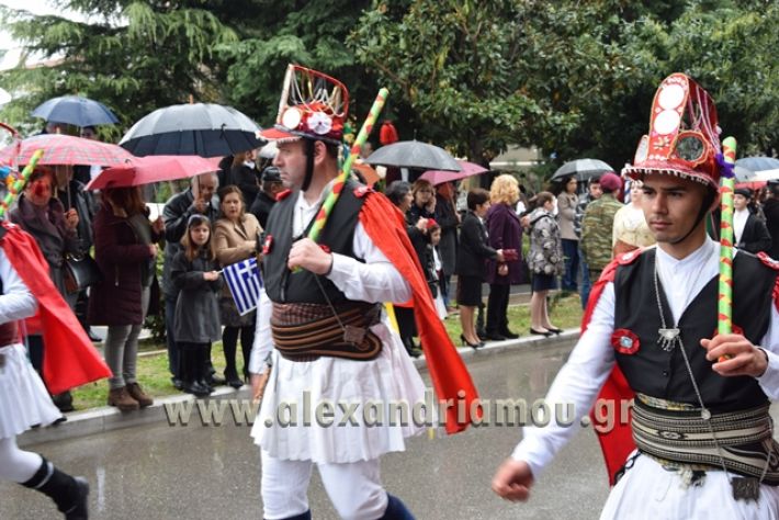 alexandriamou,gr_syloogi20188105