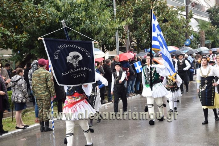 alexandriamou,gr_syloogi20188152