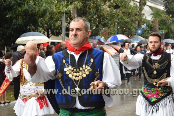 alexandriamou,gr_syloogi20188161