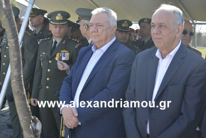 alexandriamou.gr_teas19.3.19024