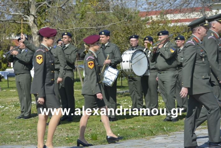 alexandriamou.gr_teas19.3.19033