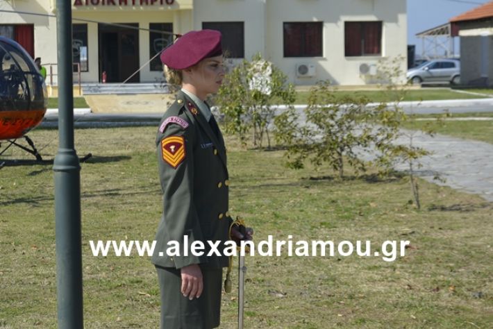 alexandriamou.gr_teas19.3.19079