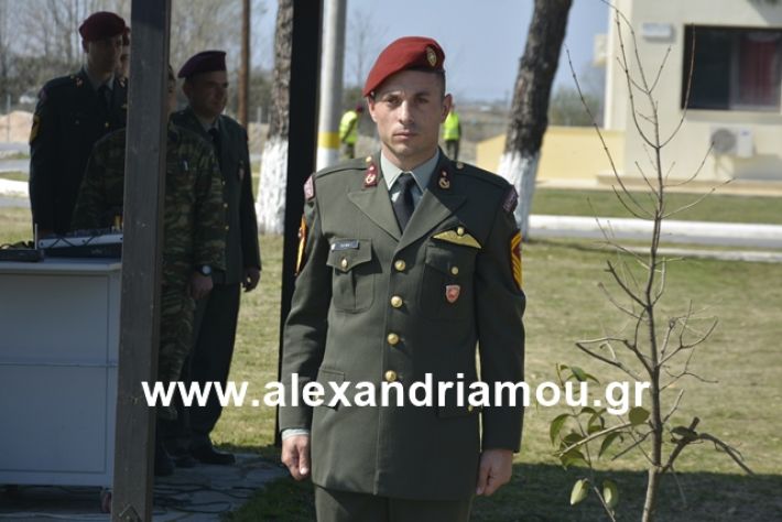 alexandriamou.gr_teas19.3.19110