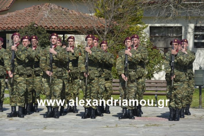 alexandriamou.gr_teas19.3.19146