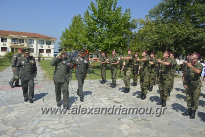 alexandriamou.gr_teas06017