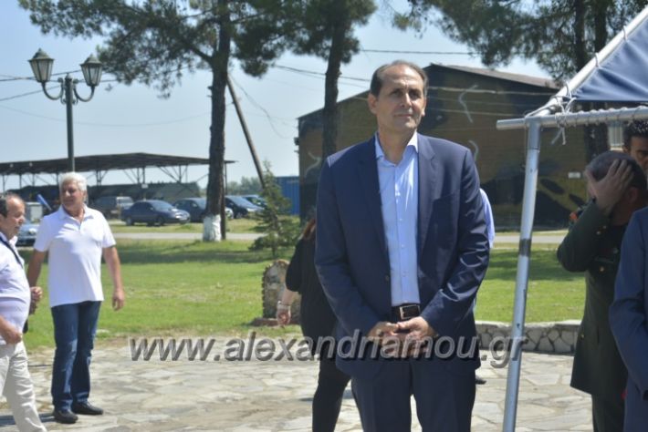 alexandriamou.gr_teas06020