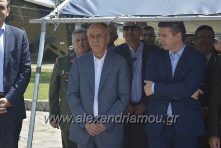 alexandriamou.gr_teas06022