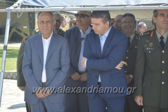 alexandriamou.gr_teas06023