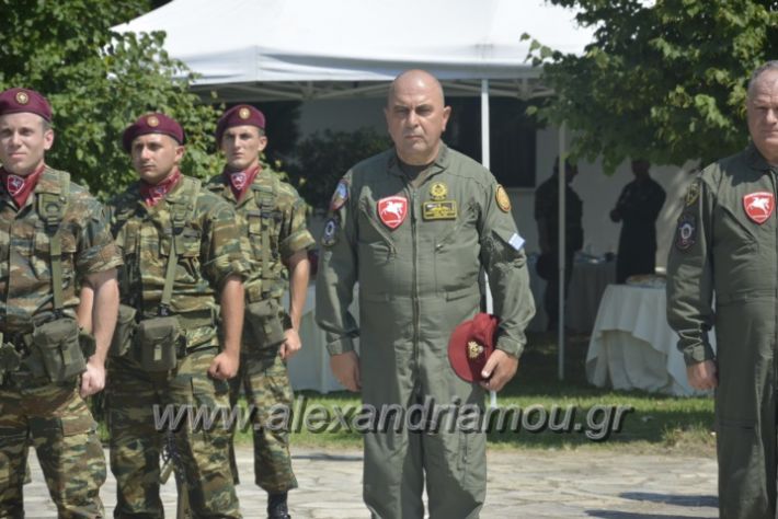 alexandriamou.gr_teas06029