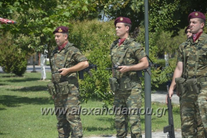 alexandriamou.gr_teas06039