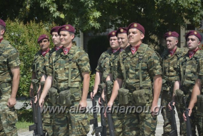 alexandriamou.gr_teas06040