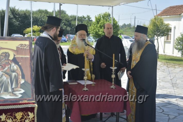 alexandriamou.gr_teas06045