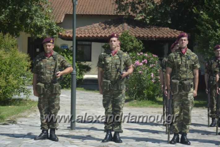 alexandriamou.gr_teas06047