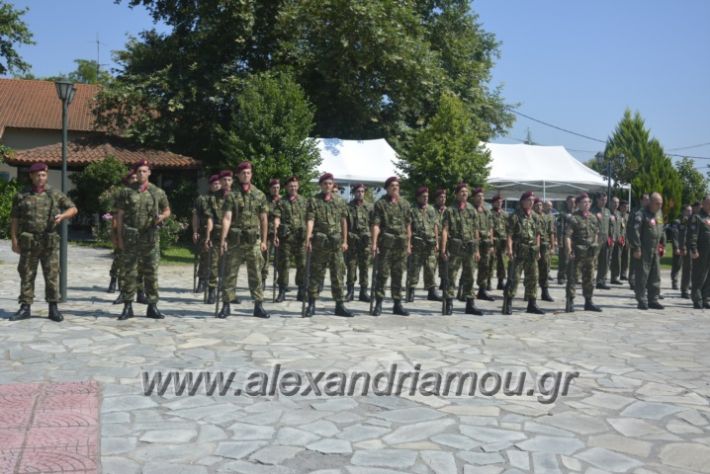 alexandriamou.gr_teas06053