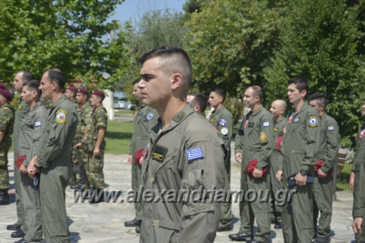 alexandriamou.gr_teas06055