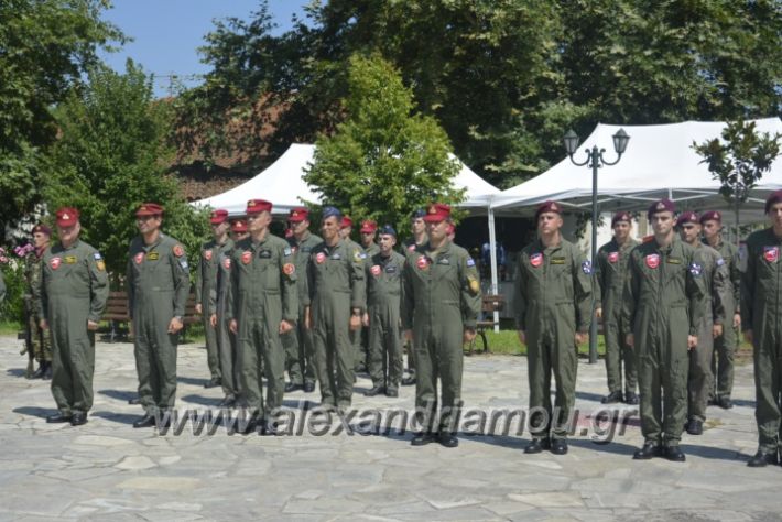 alexandriamou.gr_teas06061