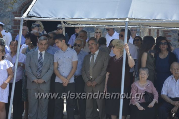 alexandriamou.gr_teas06078