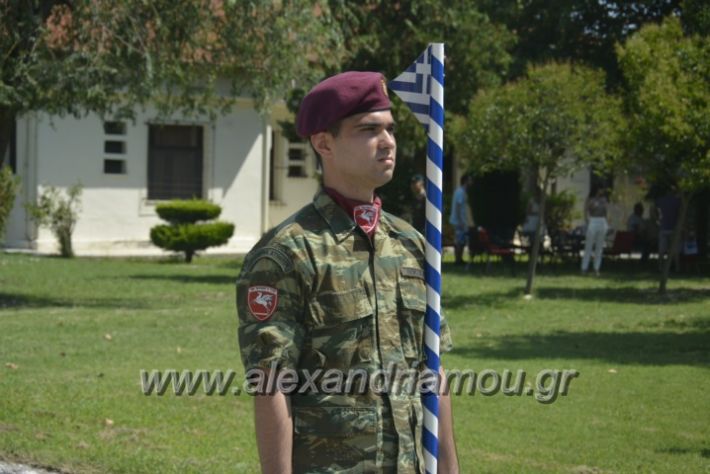 alexandriamou.gr_teas06094