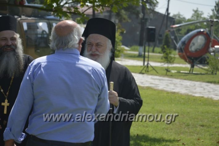 alexandriamou.gr_teas06099