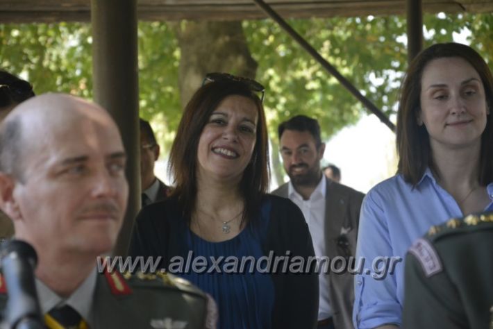 alexandriamou.gr_teas06123