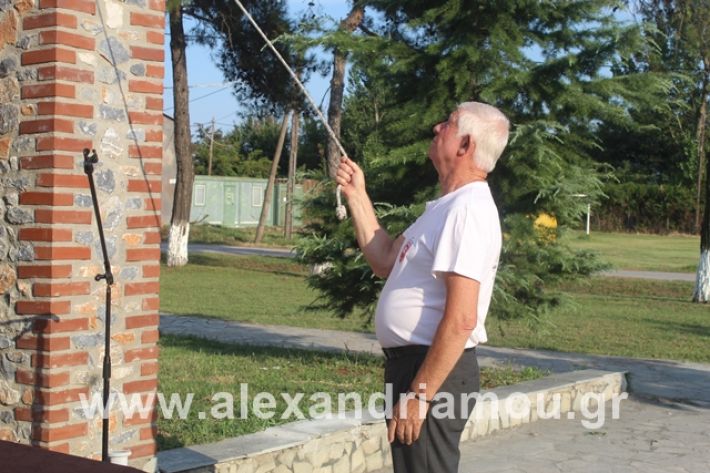 alexandriamou.gr_teasprofitisilias2019013