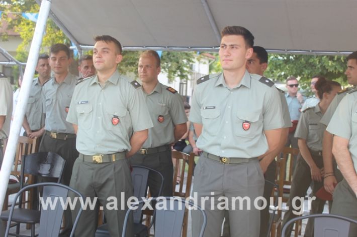 alexandriamou.gr_teasprofitisilias2019055