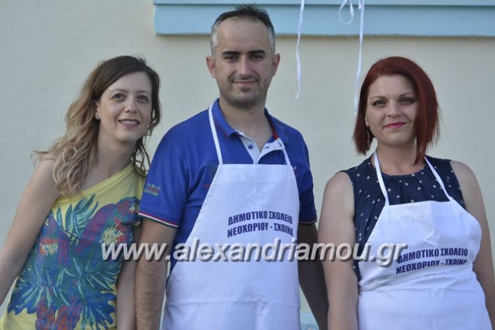 alexandriamou.gr_dim_sxoleio_neoxoriou11.6.2018002