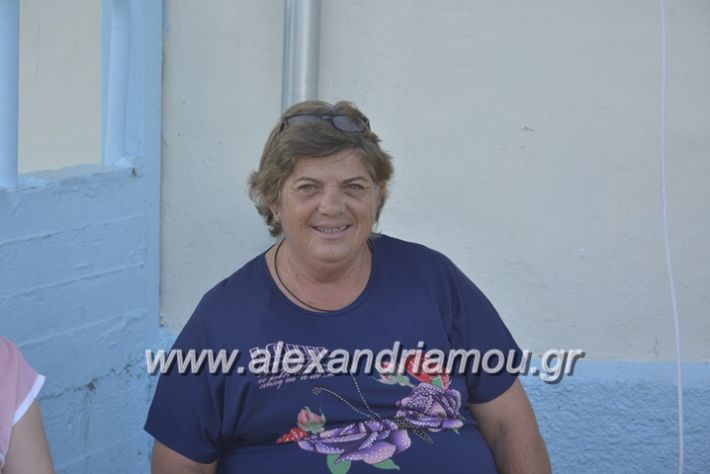alexandriamou.gr_dim_sxoleio_neoxoriou11.6.2018007