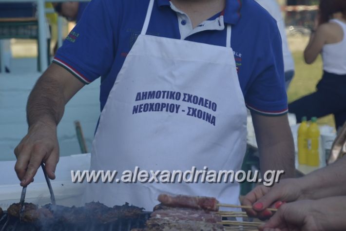 alexandriamou.gr_dim_sxoleio_neoxoriou11.6.2018016