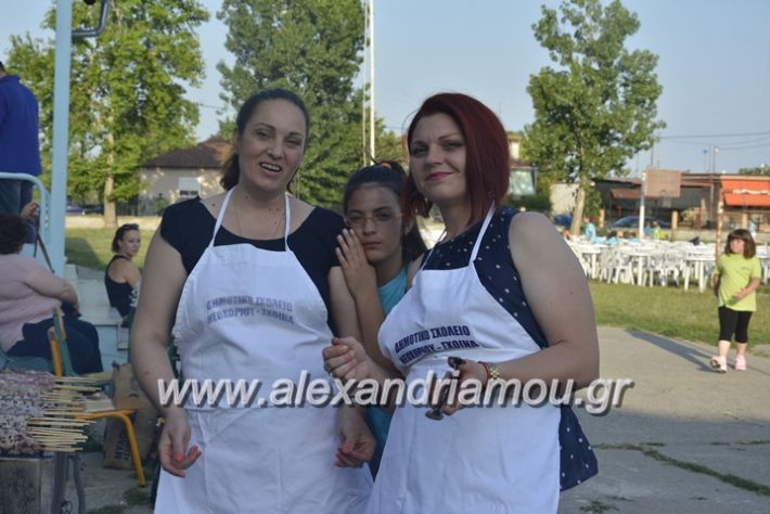 alexandriamou.gr_dim_sxoleio_neoxoriou11.6.2018017