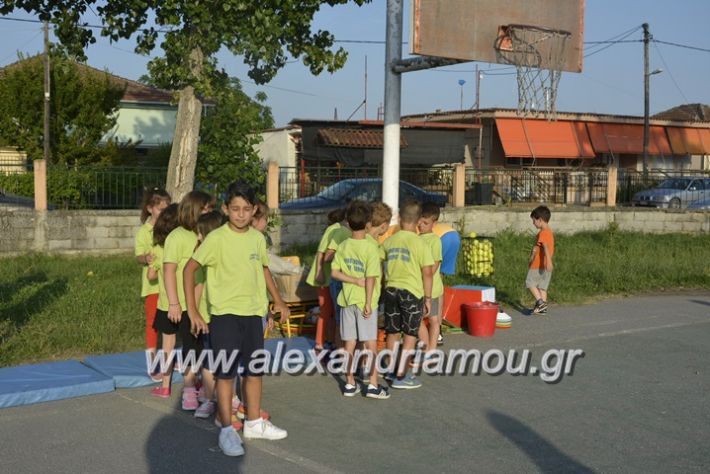 alexandriamou.gr_dim_sxoleio_neoxoriou11.6.2018025