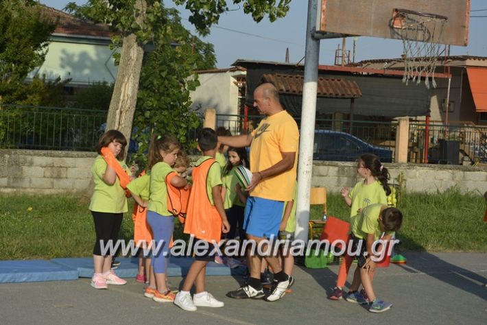 alexandriamou.gr_dim_sxoleio_neoxoriou11.6.2018027