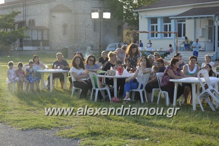 alexandriamou.gr_dim_sxoleio_neoxoriou11.6.2018056