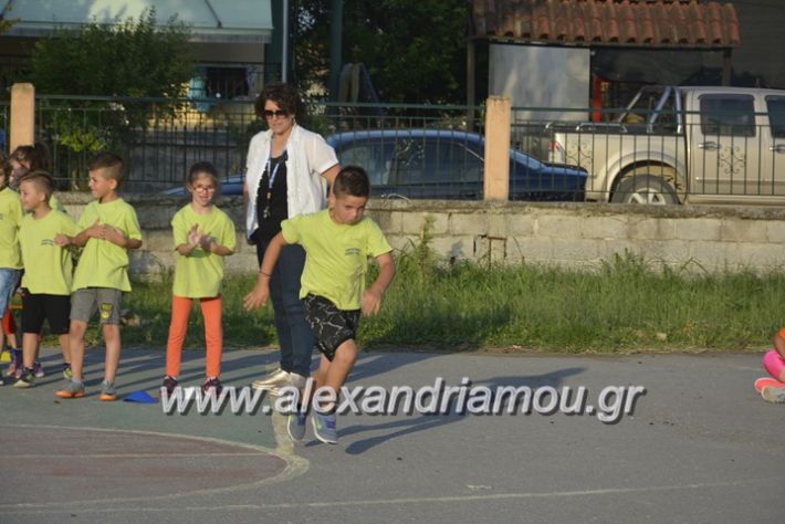 alexandriamou.gr_dim_sxoleio_neoxoriou11.6.2018063