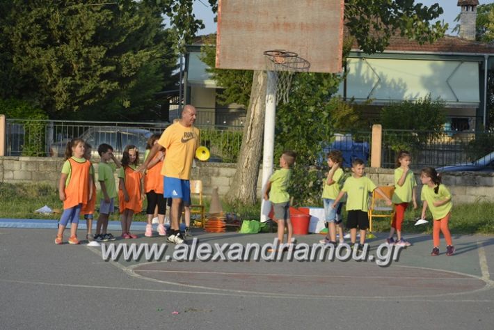 alexandriamou.gr_dim_sxoleio_neoxoriou11.6.2018064